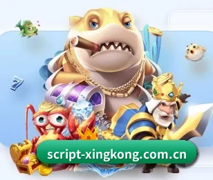 关于我们 - 体育资讯内容服务（xingkongtiyu）