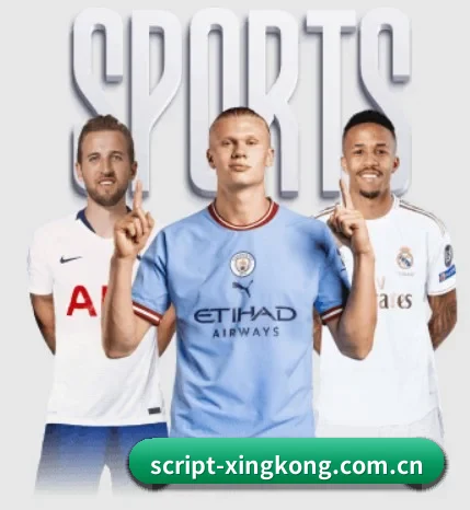 五大服务分区,信息按项目分类 - 多运动项目内容板块（xingkongtiyu）